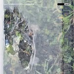 La imagen tiene un atributo ALT vacío; su nombre de archivo es lila-tirando-a-violeta.jpg